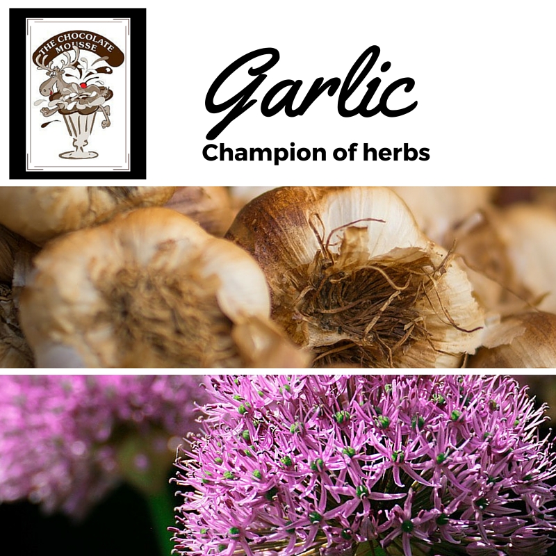 Garlic is not only beautiful when it blooms it does beautiful things for your health